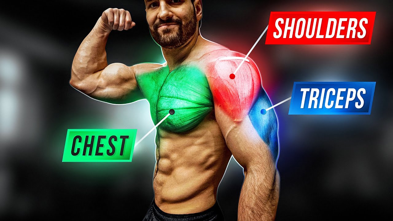 Chest Shoulders and Triceps Workout with Dumbbells