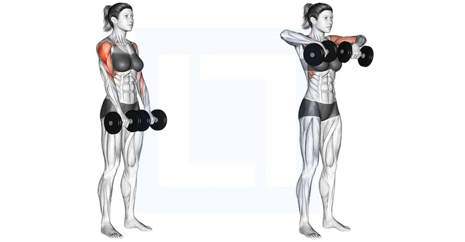 Dumbbell Upright Dip