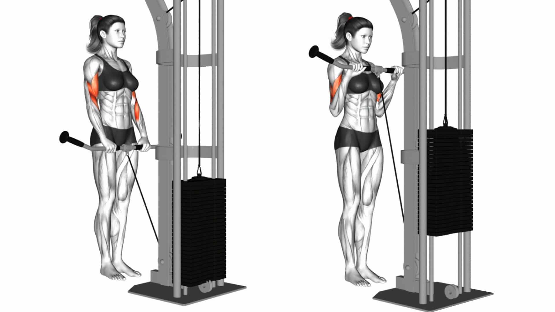 Incline Reverse Grip Cable Curls