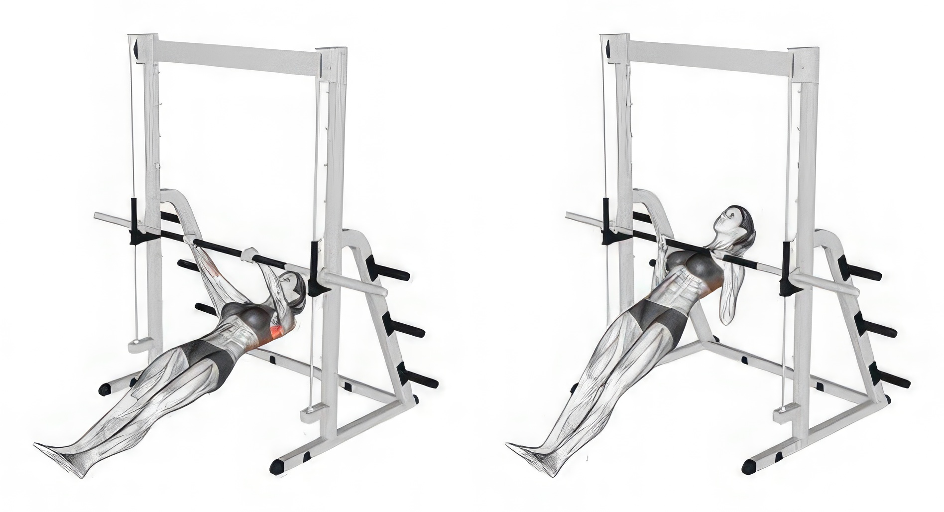 Negative Inverted Row