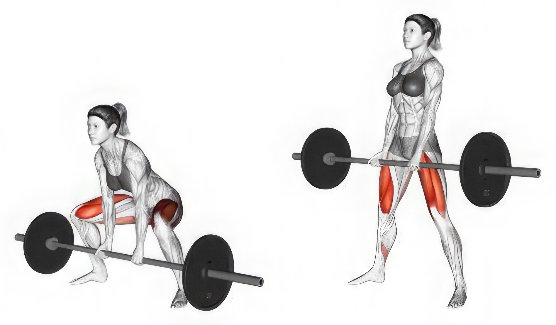 Sumo Deadlift Form