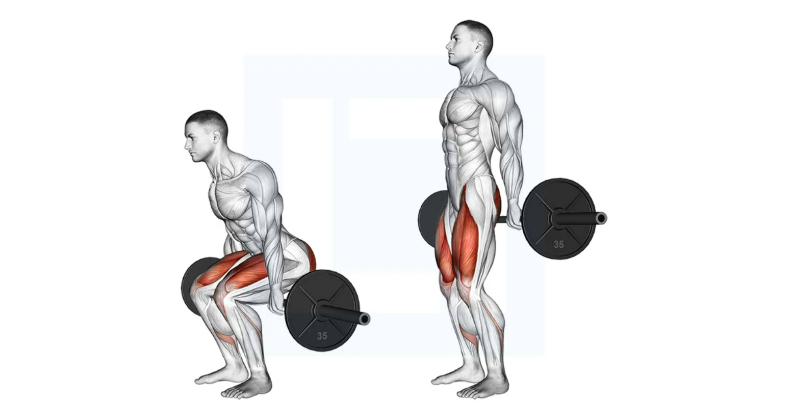 Barbell Hack Squat 