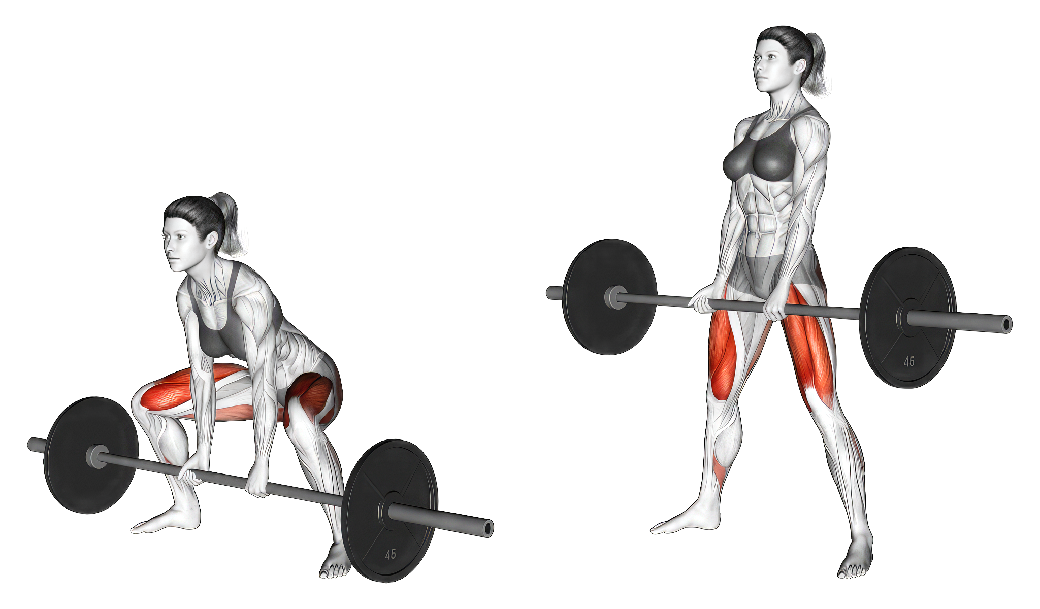 How to do Sumo Deadlift properly