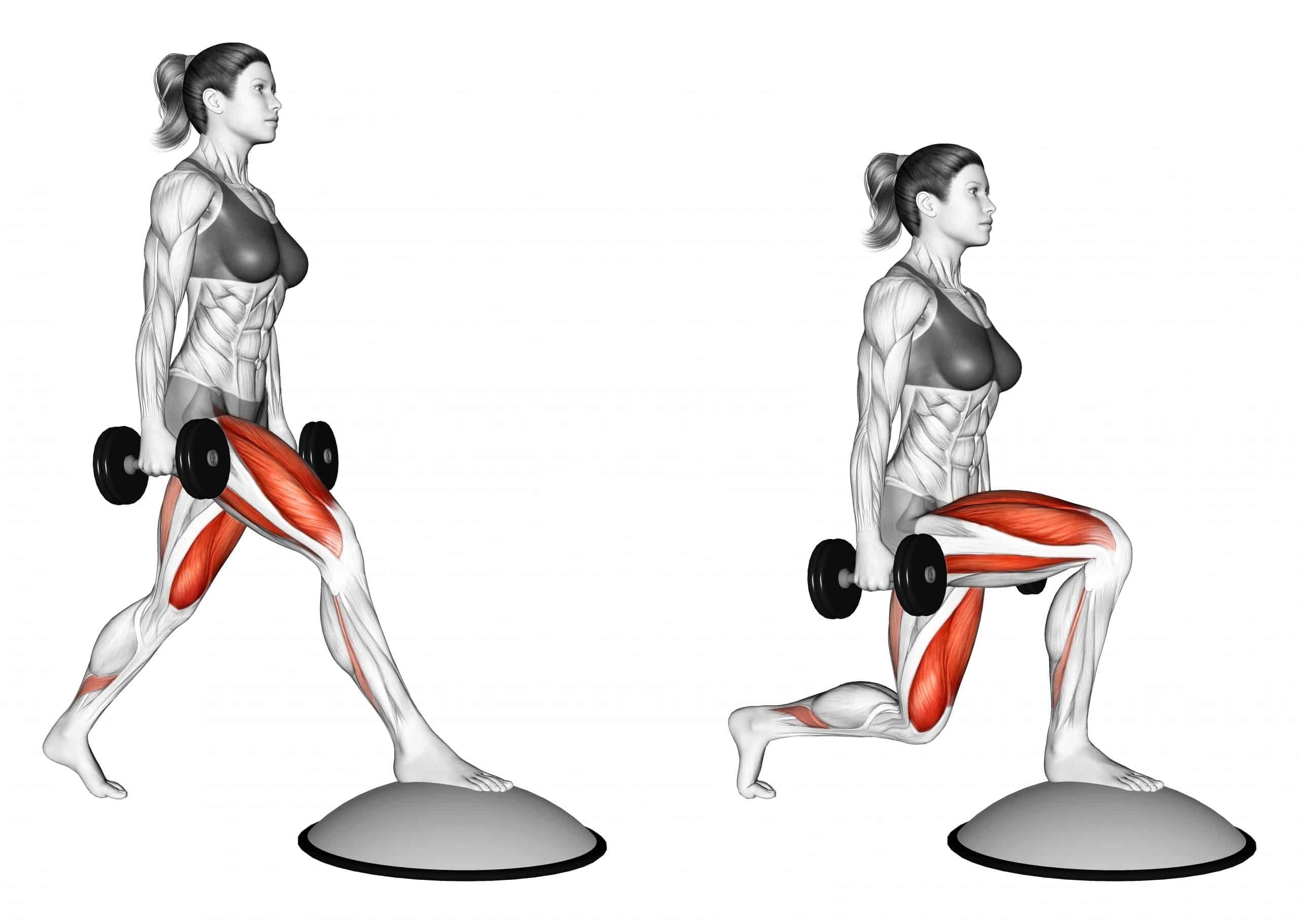 Dumbbell Split Squat Front Foot Elevated