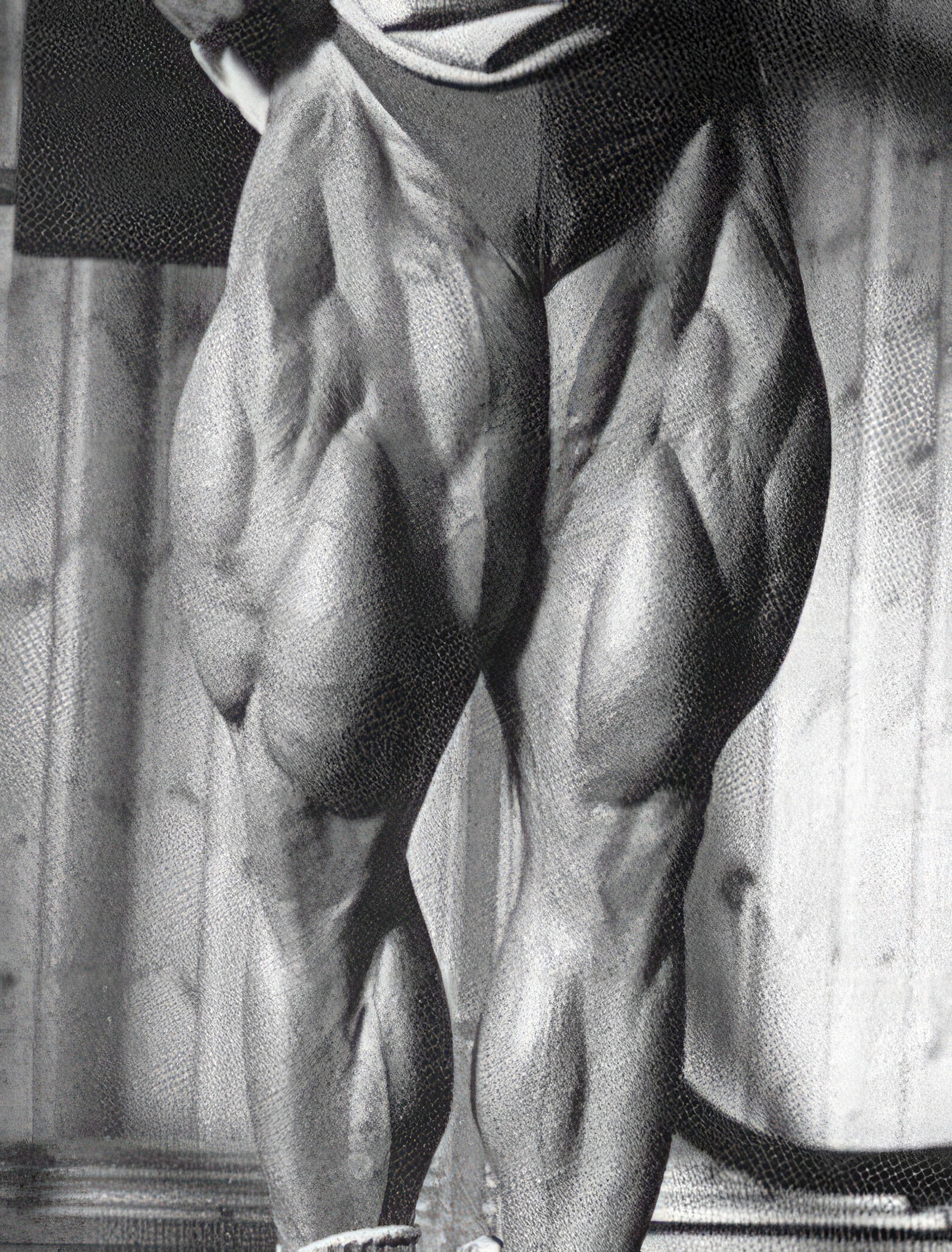 Tom Platz Leg 