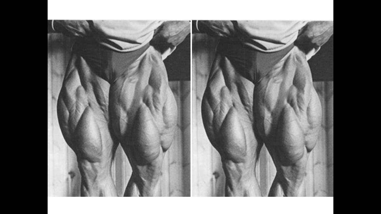 Tom Platz Leg Training Result