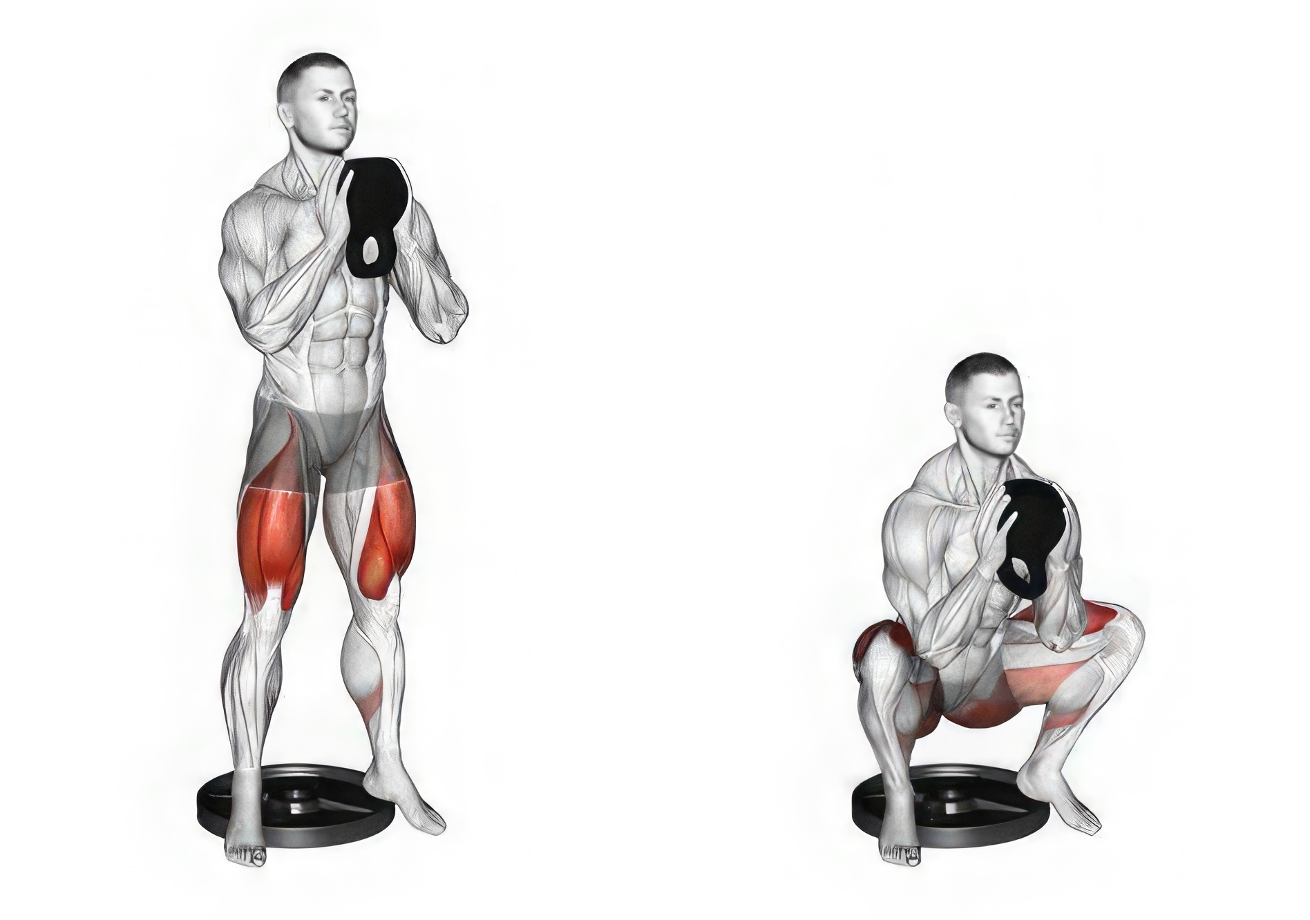 Pendulum Squat Alternative : Heel-elevated goblet Squat