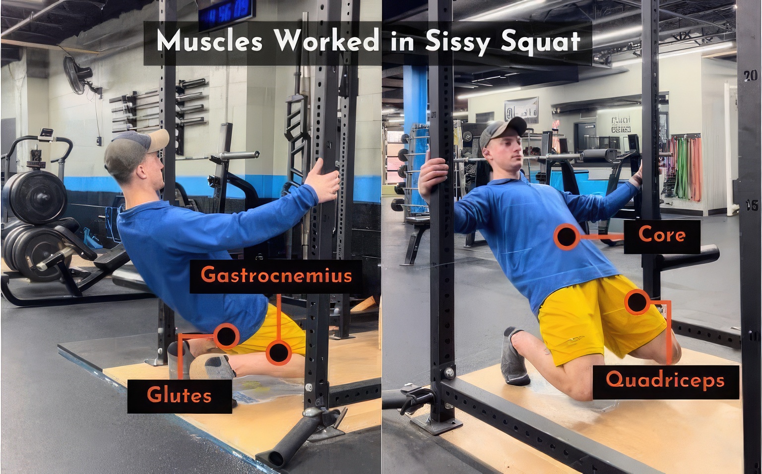 Sissy Squat Muscles Worked 