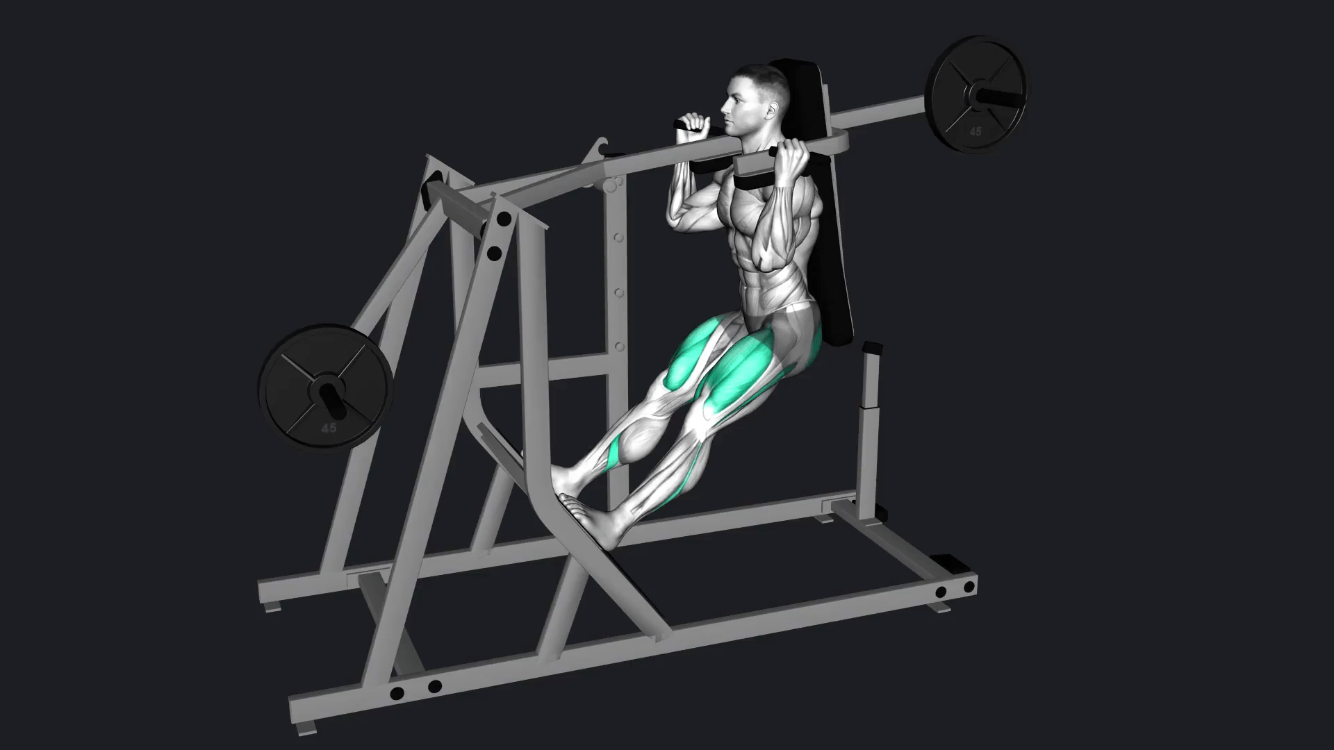 Pendulum Squat Alternative